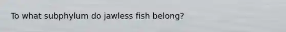 To what subphylum do jawless fish belong?