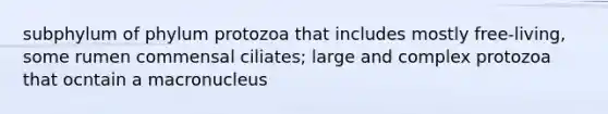 subphylum of phylum protozoa that includes mostly free-living, some rumen commensal ciliates; large and complex protozoa that ocntain a macronucleus