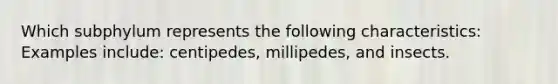 Which subphylum represents the following characteristics: Examples include: centipedes, millipedes, and insects.