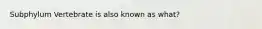 Subphylum Vertebrate is also known as what?