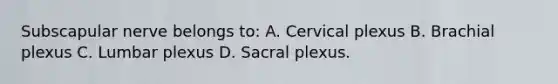 Subscapular nerve belongs to: A. Cervical plexus B. Brachial plexus C. Lumbar plexus D. Sacral plexus.