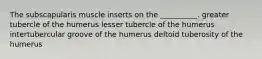 The subscapularis muscle inserts on the __________. greater tubercle of the humerus lesser tubercle of the humerus intertubercular groove of the humerus deltoid tuberosity of the humerus