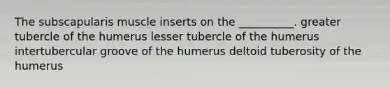 The subscapularis muscle inserts on the __________. greater tubercle of the humerus lesser tubercle of the humerus intertubercular groove of the humerus deltoid tuberosity of the humerus