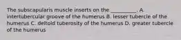 The subscapularis muscle inserts on the __________. A. intertubercular groove of the humerus B. lesser tubercle of the humerus C. deltoid tuberosity of the humerus D. greater tubercle of the humerus