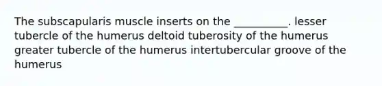 The subscapularis muscle inserts on the __________. lesser tubercle of the humerus deltoid tuberosity of the humerus greater tubercle of the humerus intertubercular groove of the humerus