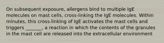 On subsequent exposure, allergens bind to multiple IgE molecules on mast cells, cross-linking the IgE molecules. Within minutes, this cross-linking of IgE activates the mast cells and triggers _______, a reaction in which the contents of the granules in the mast cell are released into the extracellular environment