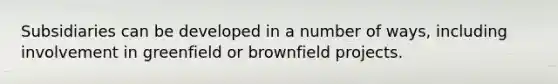 Subsidiaries can be developed in a number of ways, including involvement in greenfield or brownfield projects.