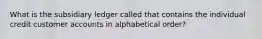 What is the subsidiary ledger called that contains the individual credit customer accounts in alphabetical order?