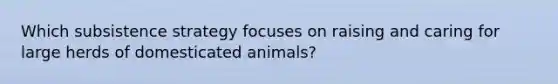 Which subsistence strategy focuses on raising and caring for large herds of domesticated animals?