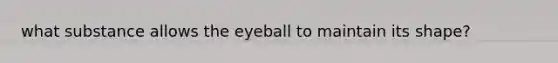 what substance allows the eyeball to maintain its shape?