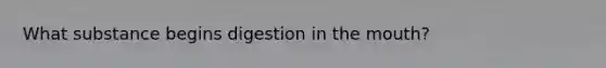What substance begins digestion in the mouth?