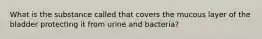 What is the substance called that covers the mucous layer of the bladder protecting it from urine and bacteria?