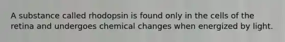 A substance called rhodopsin is found only in the cells of the retina and undergoes chemical changes when energized by light.