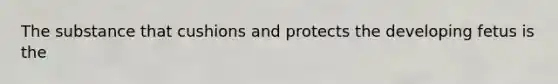 The substance that cushions and protects the developing fetus is the