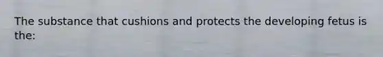 The substance that cushions and protects the developing fetus is the: