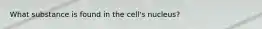 What substance is found in the cell's nucleus?