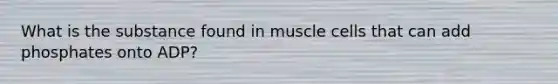 What is the substance found in muscle cells that can add phosphates onto ADP?