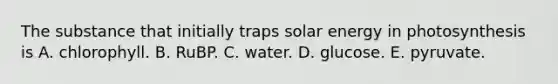 The substance that initially traps solar energy in photosynthesis is A. chlorophyll. B. RuBP. C. water. D. glucose. E. pyruvate.