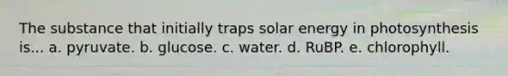 The substance that initially traps solar energy in photosynthesis is... a. pyruvate. b. glucose. c. water. d. RuBP. e. chlorophyll.