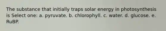 The substance that initially traps solar energy in photosynthesis is Select one: a. pyruvate. b. chlorophyll. c. water. d. glucose. e. RuBP.