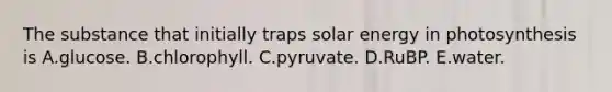 The substance that initially traps solar energy in photosynthesis is A.glucose. B.chlorophyll. C.pyruvate. D.RuBP. E.water.