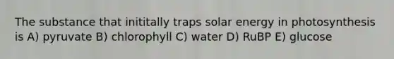 The substance that inititally traps solar energy in photosynthesis is A) pyruvate B) chlorophyll C) water D) RuBP E) glucose