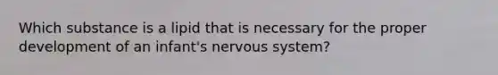 Which substance is a lipid that is necessary for the proper development of an infant's nervous system?