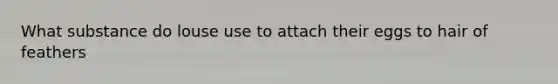 What substance do louse use to attach their eggs to hair of feathers