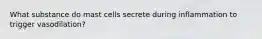 What substance do mast cells secrete during inflammation to trigger vasodilation?