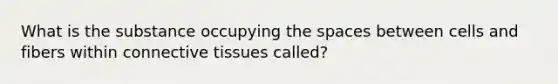 What is the substance occupying the spaces between cells and fibers within connective tissues called?