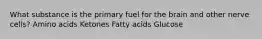 What substance is the primary fuel for the brain and other nerve cells? Amino acids Ketones Fatty acids Glucose