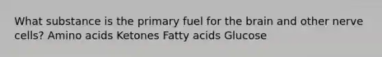 What substance is the primary fuel for the brain and other nerve cells? Amino acids Ketones Fatty acids Glucose