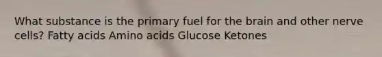 What substance is the primary fuel for the brain and other nerve cells? Fatty acids Amino acids Glucose Ketones