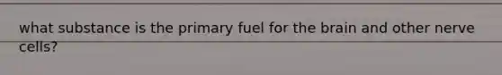 what substance is the primary fuel for the brain and other nerve cells?