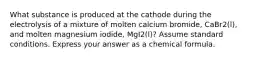 What substance is produced at the cathode during the electrolysis of a mixture of molten calcium bromide, CaBr2(l), and molten magnesium iodide, MgI2(l)? Assume standard conditions. Express your answer as a chemical formula.