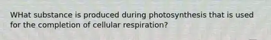 WHat substance is produced during photosynthesis that is used for the completion of cellular respiration?