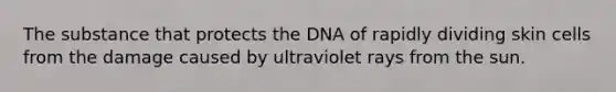 The substance that protects the DNA of rapidly dividing skin cells from the damage caused by ultraviolet rays from the sun.