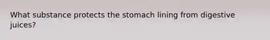 What substance protects the stomach lining from digestive juices?