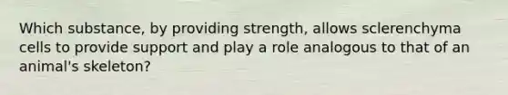 Which substance, by providing strength, allows sclerenchyma cells to provide support and play a role analogous to that of an animal's skeleton?