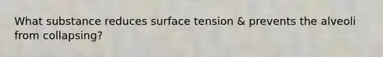 What substance reduces surface tension & prevents the alveoli from collapsing?