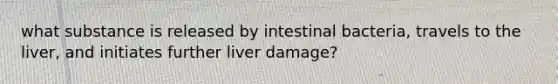 what substance is released by intestinal bacteria, travels to the liver, and initiates further liver damage?