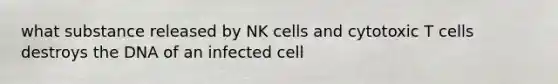 what substance released by NK cells and cytotoxic T cells destroys the DNA of an infected cell