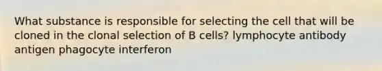 What substance is responsible for selecting the cell that will be cloned in the clonal selection of B cells? lymphocyte antibody antigen phagocyte interferon