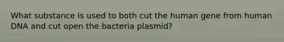 What substance is used to both cut the human gene from human DNA and cut open the bacteria plasmid?