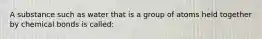 A substance such as water that is a group of atoms held together by chemical bonds is called: