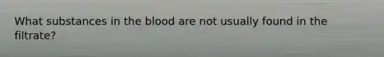 What substances in the blood are not usually found in the filtrate?