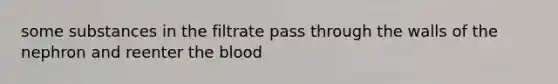 some substances in the filtrate pass through the walls of the nephron and reenter the blood