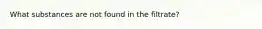 What substances are not found in the filtrate?