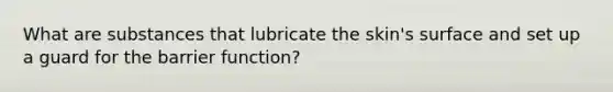 What are substances that lubricate the skin's surface and set up a guard for the barrier function?