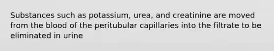 Substances such as potassium, urea, and creatinine are moved from the blood of the peritubular capillaries into the filtrate to be eliminated in urine